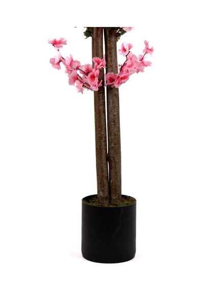 120 Cm Pembe Bahardalı Ağacı