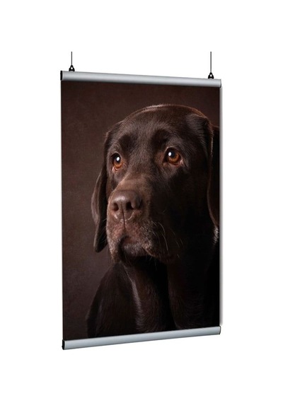 Poster Tutucu Clamp 21cm 10lu Paket
