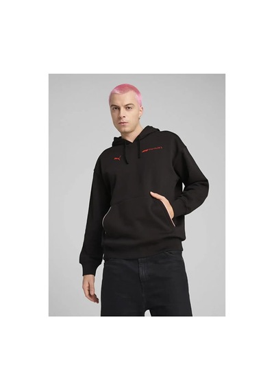 Puma F1 Ess+ Graphic Hoodie Siyah Erkek Hoodie