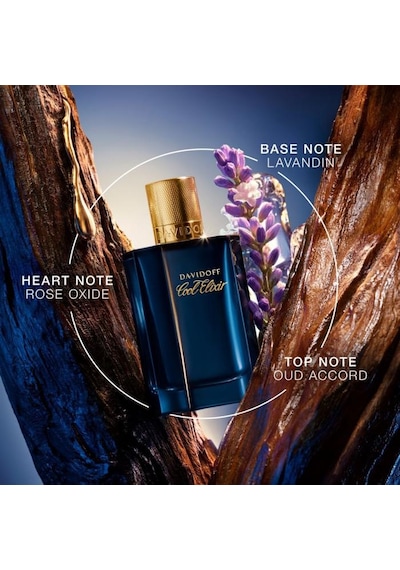 Davidoff Cool Elixir Oud Aromatique Parfum Intense 100 Ml Aromatik