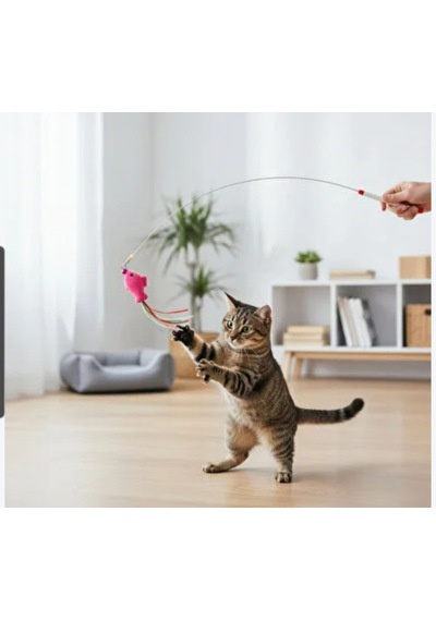 Bezos Kedi Oltası Kalın Telli Monofilli 10 Lu Paket Karışık Bezos1
