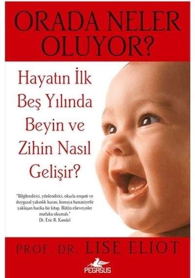 Orada Neler Oluyor