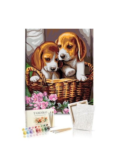 Sayılarla Boyama Seti 40 x 50 CM Tuval Şasesine Gerili Yavru Köpekler