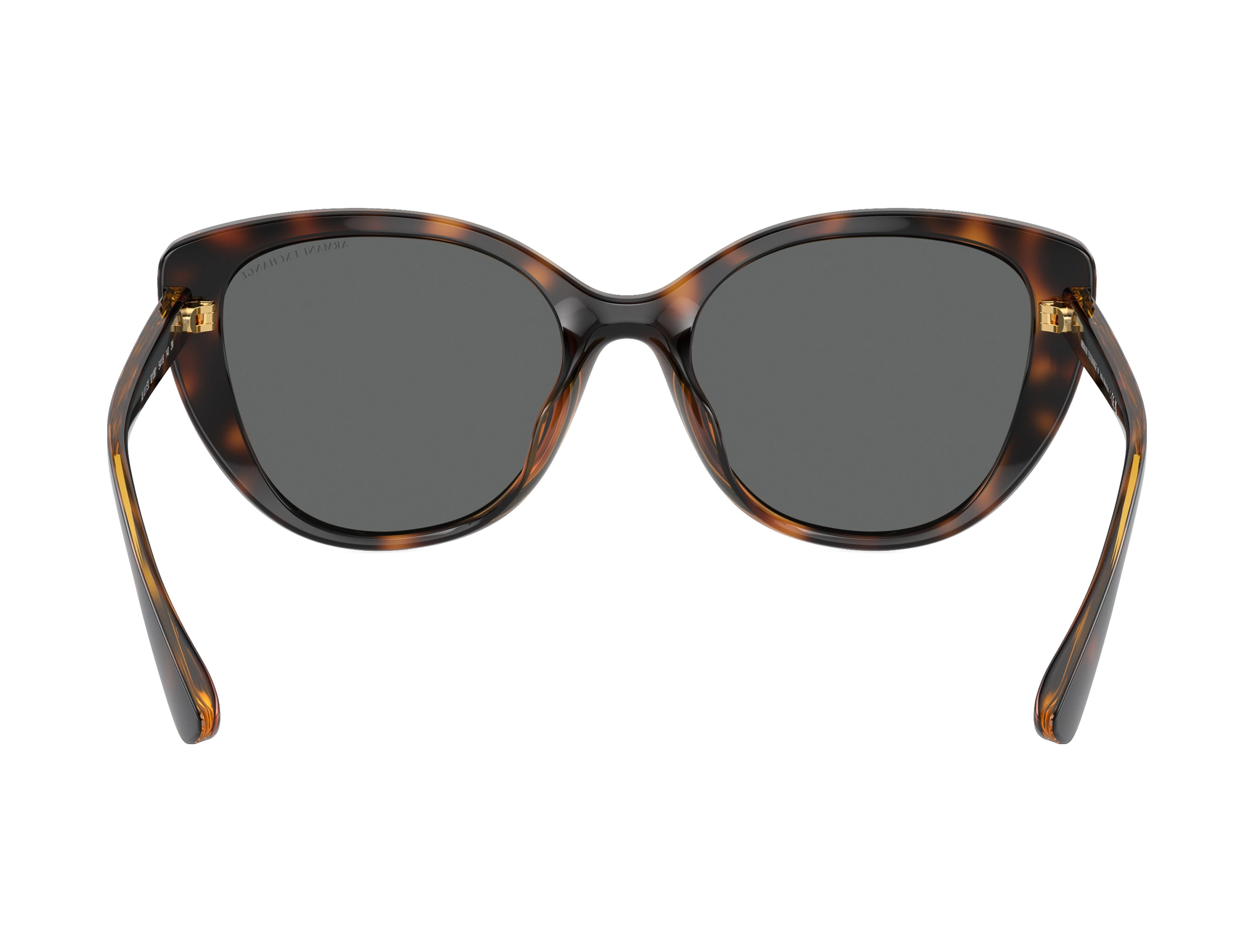 Armani Exchange Güneş Gözlüğü Ax4111su 54 821387 Kahverengi