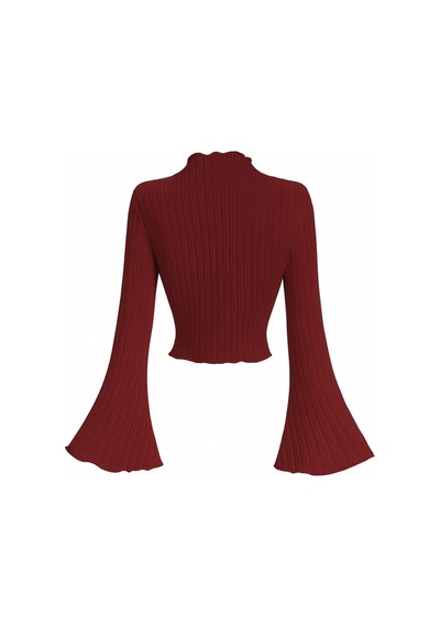 Wild Flower Bordo Fitilli Triko Bluz Uzun Kollu, Volan Kol, Dik Yaka Crop Üst Bordo