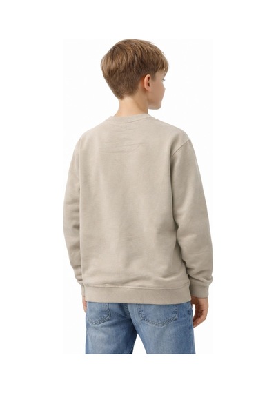 Baglan Erkek Çocuk Önü Baskılı Sweatshirt Bgl-st05233 Taş
