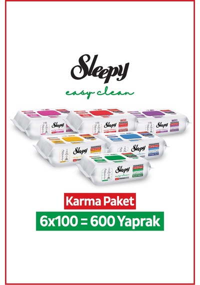 Easy Clean Premium + Çiçek Serisi Yüzey Temizlik Havlusu Mendili 6x100 Karma Paket Diğer