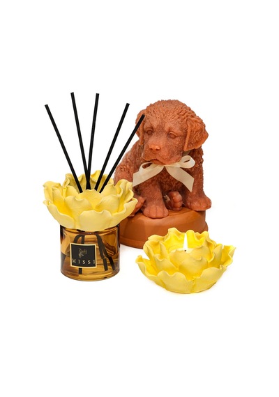 Aura Collection Oda Kokusu & Mumluk Set - Oud Vanilya Oud