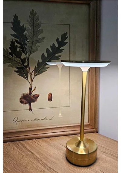 Şarjlı Dokunmatik Led Masa Lambası 3 Renk Işık Ayarlı Kablosuz Metal Gövde Dekoratif Aydınlatma Wb-w021 Altın