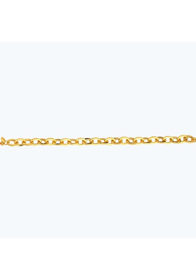 Altınbaş 22 Ayar Altın Zincir Bileklik Bbl0018-25924 Çok Renkli