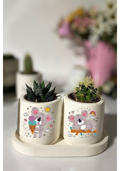 Tabaklı Koala Baskılı Mini Saksı Seti Hediyelik Dekoratif