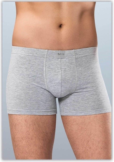 Anıt Erkek Pamuklu Boxer 1271 - 6 Adet