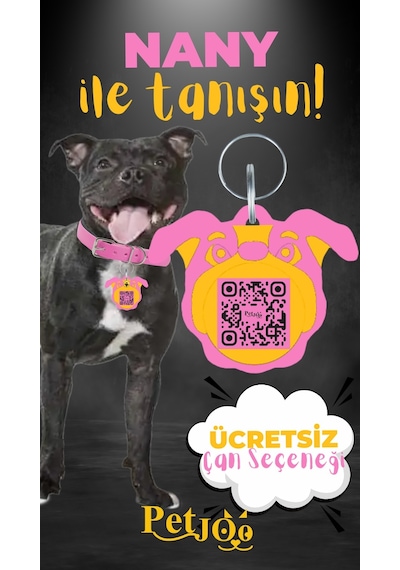 Petjoo 17.Nany Sarı-Pembe Qr'lı Köpek Künyesi