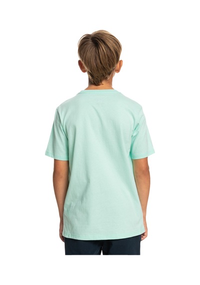 Quiksilver Cırcledlıne B Tees Turkuaz Mint