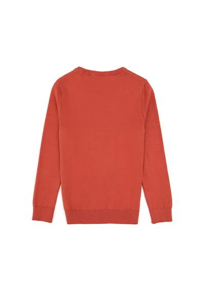 U.S. Polo Assn. Kız Çocuk Gül Kurusu Bisiklet Yaka Basic Kazak 50316808-VR026