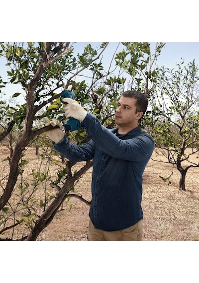 Bosch Pro Pruner Akülü Bahçe Makası (Akü ve Şarj Cihazı Dahil Değildir) - 06019K1020