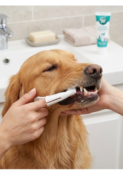Parmak Tipi Evcil Hayvan Diş Fırçası - Kedi Köpek Diş Fırçalama Aparatı