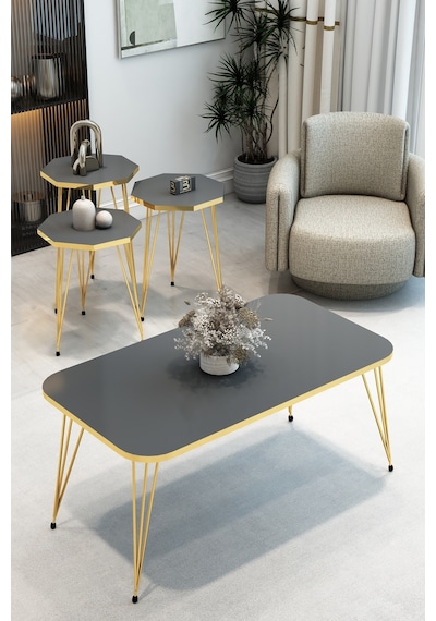3'lü Sekizgen Zigon Sehpa Ve Dikdörtgen Orta Sehpa Takımı Modern Gold Metal Ayaklı Salon Sehpa Seti Antrasit 3'lü Sekizgen Zigon Sehpa Ve Dikdörtgen Orta Sehpa Takımı Modern Gold Metal Ayaklı Salon Sehpa Seti Antrasit