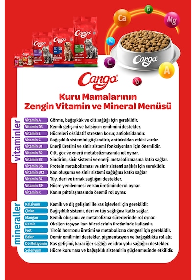 Cango Yetişkin Kedi Maması Somonlu 1 Kg 5'li