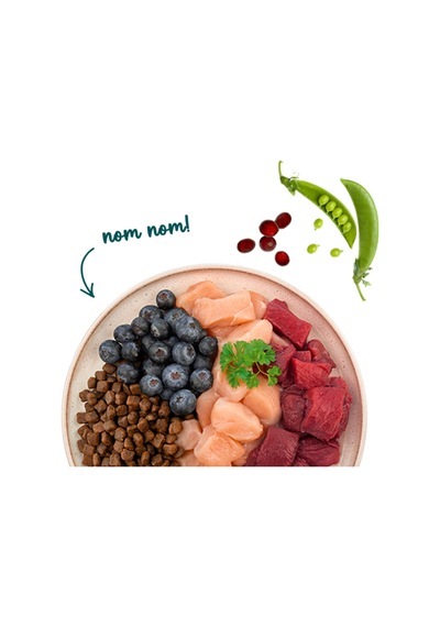 Sanabelle Outdoor Ördek Etli Yetişkin Kuru Kedi Maması 8 KG