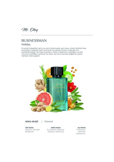 Mr. Okay Businessman Holiday 50 Ml Fresh