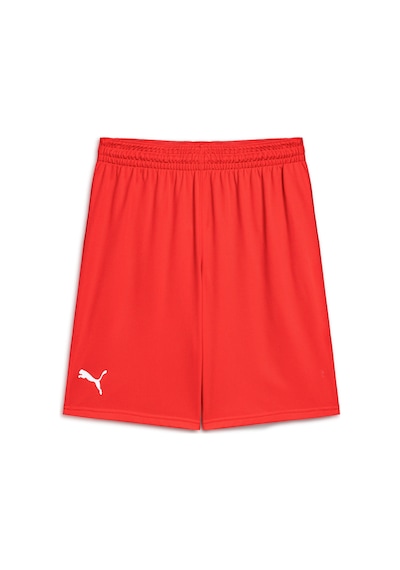 Puma Basketbol Antrenman Şort 605472 02 Kırmızı