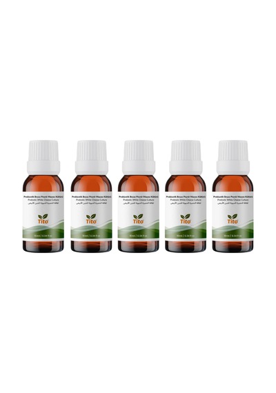 Probiyotik Beyaz Peynir Mayası Kültürü 10 G 5 Adet
