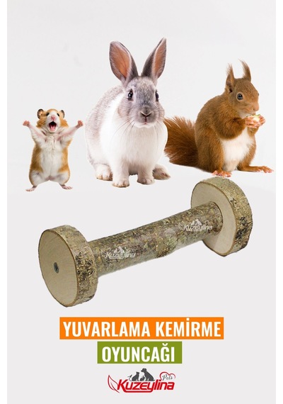 Hamster Tavşan Gine Pig Yuvarlama Kemirme Oyuncağı