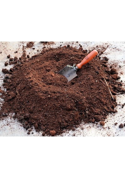 Özel Üretim Kaktüs Toprağı 5 Kğ 5 KG