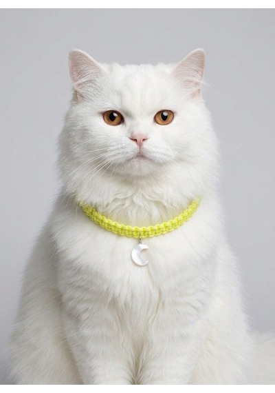 Sarı El Örgüsü Makrome Kedi Tasması 27 Cm - Ay Figürlü Charm Şık Kedi Boyun Tasması