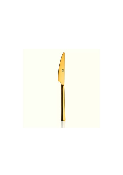 Avcı 953 Klas Gold Yemek Bıçağı 2 Li Altın