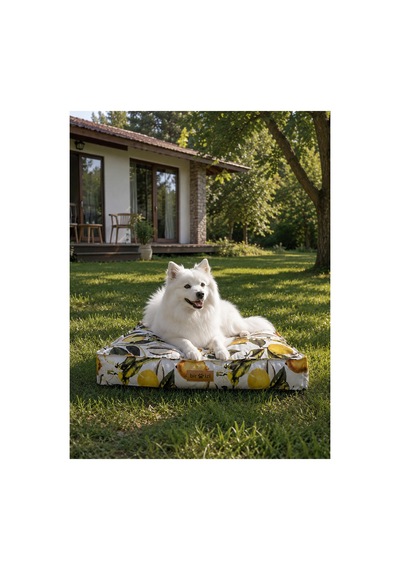 Kedi Ve Köpek Yer Minderi Ve Matı Üst Kalite Yıkanabilir Kılıflı Fermuarlı %100 Boncuk Elyaf Kaydırmaz Taban Kedi Ve Köpek Yatağı Limon 1609352157 Kedi Ve Köpek Yer Minderi Ve Matı Üst Kalite Yıkanabilir Kılıflı Fermuarlı %100 Boncuk Elyaf Kaydırmaz Taban Kedi Ve Köpek Yatağı Limon 1609352157