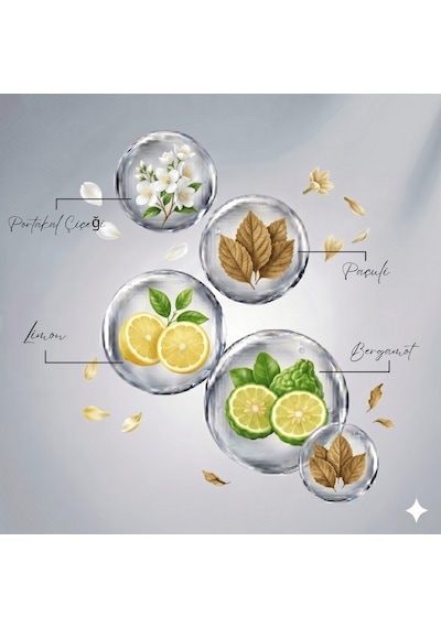 Saint Lovely 1955 Kadın Parfüm 100ml Edp Aromatik