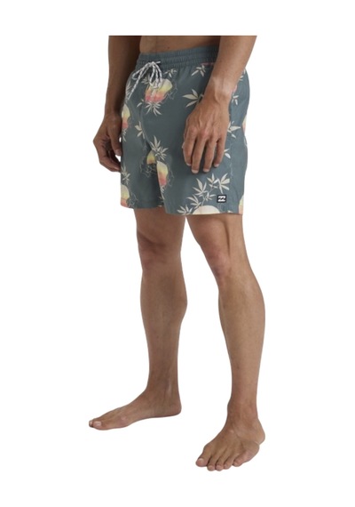 Bıllabong Billabong Vacay Lb Erkek Volley Short Dtr Çok Renkli