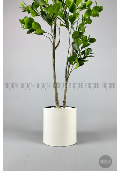 Yapay Manolya Ağacı 150 Cm Krem Metal Saksıda