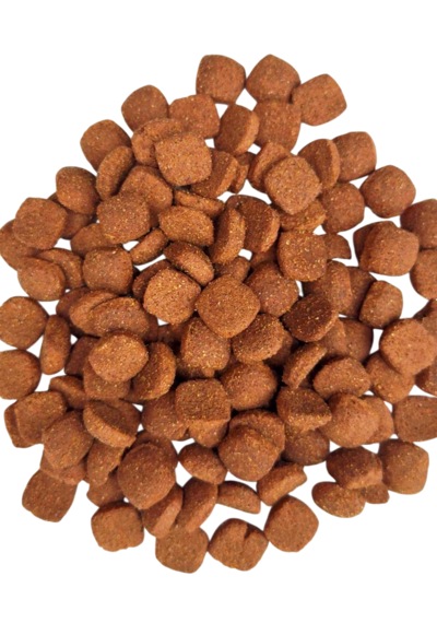 Kuzulu Performans Yetişkin Köpek Maması