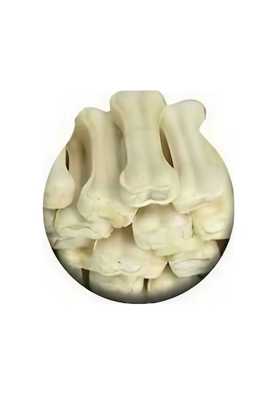 Köpek Diş Kaşıyıcı Diş Sağlığı Beyaz 12 Li Paket 7-8 Cm