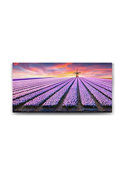 Yel Değirmeni Ve Lavanta Tarlası Tablosu - 120x60cm