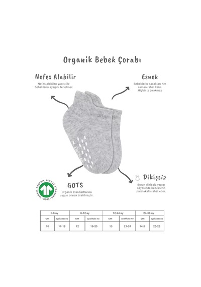2'li Sneakers Kaymaz Basic Penye Çorap Bs20103 Gri Beyaz Renkli Çok Renkli