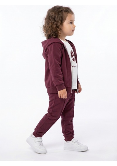 Toontoy Kids Toontoy Kız Çocuk 3'lü Eşofman Takımı Uzun Kollu Bisiklet Yaka Nakışlı T-shirt - Kapüşonlu Fermuarlı Hırka- Beli Paçası Lastikli Eşofman Altı 25042 Mor Toontoy Kids Toontoy Kız Çocuk 3'lü Eşofman Takımı Uzun Kollu Bisiklet Yaka Nakışlı T-shirt - Kapüşonlu Fermuarlı Hırka- Beli Paçası Lastikli Eşofman Altı 25042 Mor
