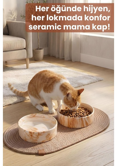 2'li Seramik Paspaslı Mama Kabı Kahverengi-kaymaz Tabanlı Kedi Köpek Mama Ve Su Kabı