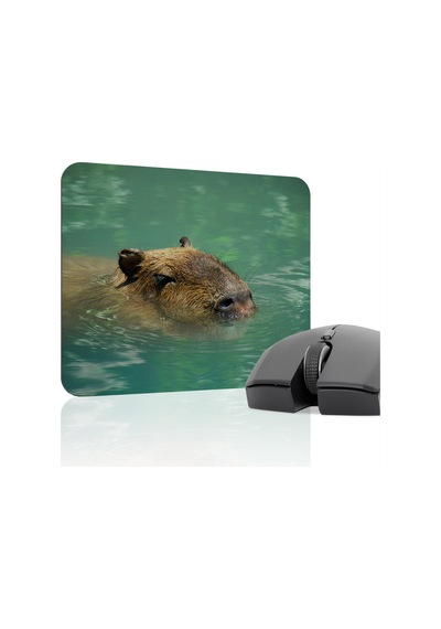 Capybara Kaymaz Dikişli Kauçuk Oyuncu Mousepad V2 - 22x18 Gaming Mouse Pad Fare Altlığı
