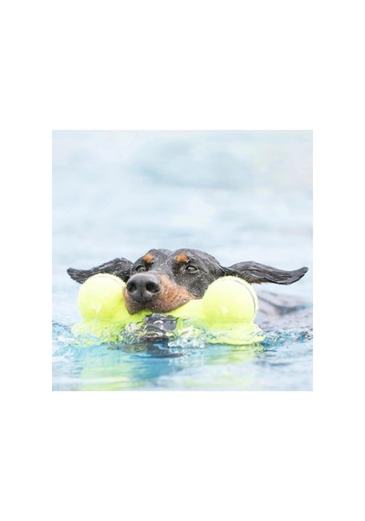 Kong Airdog Sesli Kemik Köpek Oyuncağı L