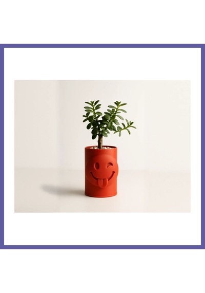 Bezos 3d Baskı Emoji Planter - Göz Kırpan Yüzlü Sukulent Saksısı-turuncu Nıda