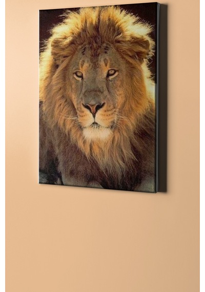 Webstyle Sayılarla Boyama Seti Kasnaklı Orman Kralı 60 X 75 Cm