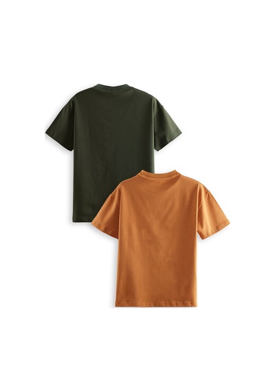 Denokids Erkek Çocuk Basic Oversize 2'li T-shirt Takım Renkli