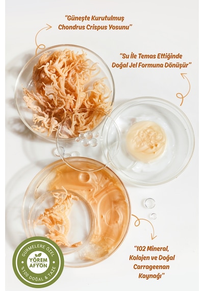 Yörem Afyon Tropik Okyanus Hasadı Deniz Kadayıfı, Irlanda Yosnu, Sea Moss Chondrus Crispus 30gr.