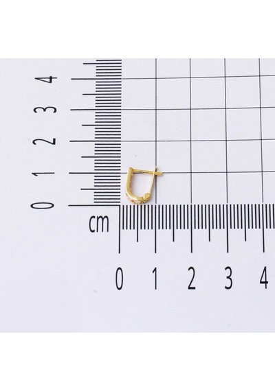 Bilezikci 14 Ayar Altın Pembe Bebek Küpesi KPDLY14K28470