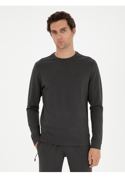 Antrasit Regular Fit Bisiklet Yaka Sweatshirt Gri
