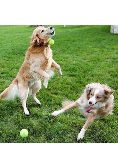Ayrex Jouis Köpek Oyuncağı Tenis Topu 2'li Büyük Boy Dayanıklı Kauçuk İç Yapı, Diş Dostu Yumuşak Keçe